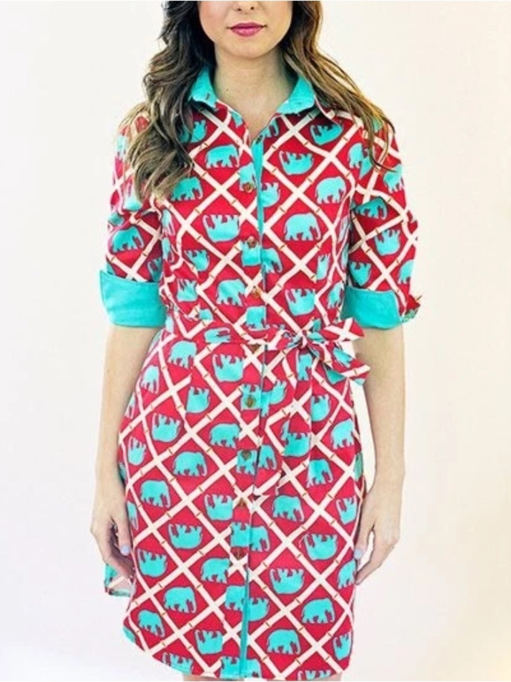 Haley and the Hound Madeline Dress  Elephant Print Size 10